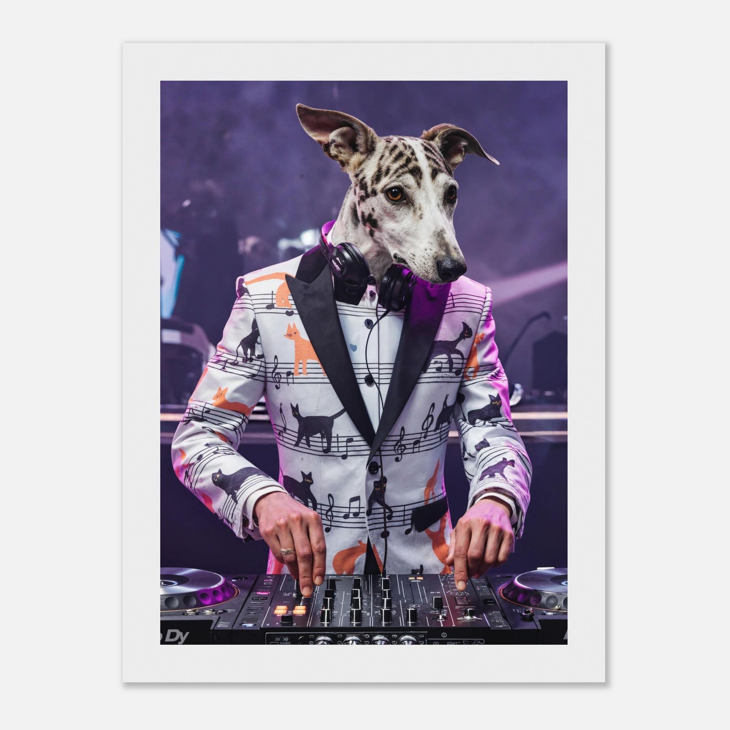 DJ Paws